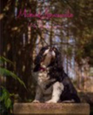 Making Lemonade with Georgia Grace 0464977320 Book Cover