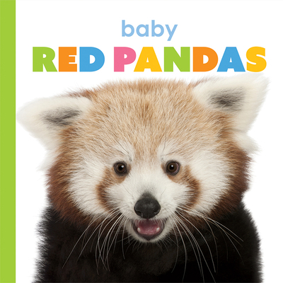 Baby Red Pandas 162832886X Book Cover