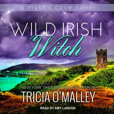 Wild Irish Witch 1541406524 Book Cover