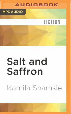 Salt and Saffron 1531843522 Book Cover