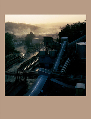 Dayanita Singh: Work in Process 3969991838 Book Cover