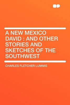 A New Mexico David: And Other Stories and Sketc... 1407793942 Book Cover