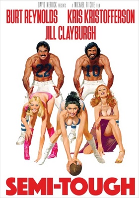 Semi-Tough            Book Cover