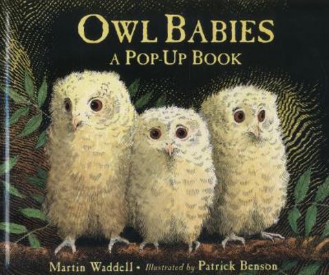 Owl Babies 1406352349 Book Cover