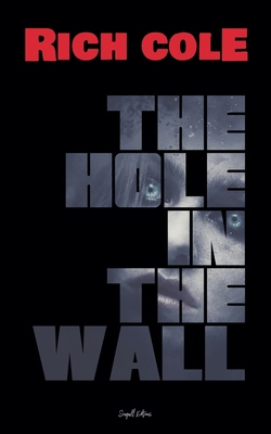 The Hole in the Wall            Book Cover