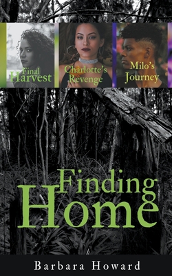 Finding Home Mystery Series 1393343139 Book Cover