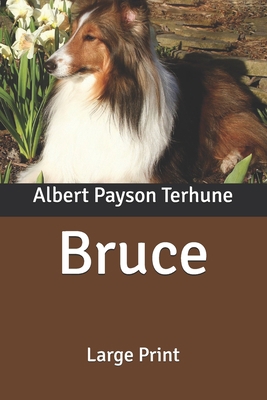 Bruce: Large Print B088LFRH7C Book Cover