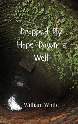 Dropped My Hope Down a Well 9916946256 Book Cover