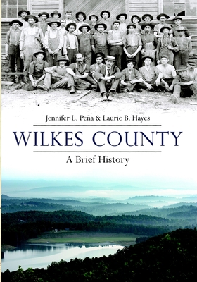 Wilkes County, North Carolina: A Brief History 1596293225 Book Cover