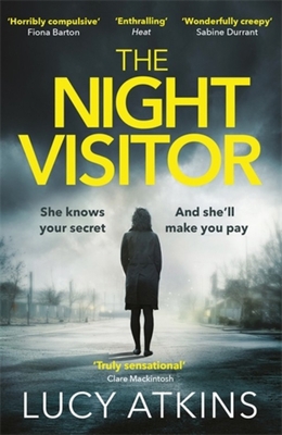 The Night Visitor 1784293245 Book Cover