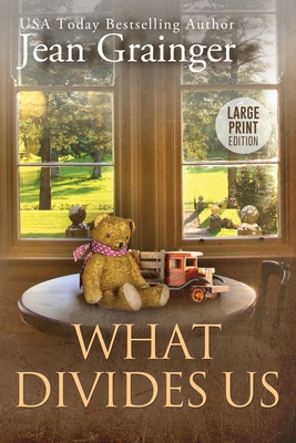 What Divides Us: The Kilteegan Bridge Story - B... [Large Print] 1914958977 Book Cover