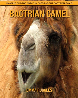 Paperback Bactrian camel: Amazing Photos and Fun Facts about Bactrian camel [Large Print] Book