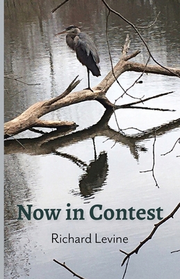 Now in Contest 1594980985 Book Cover