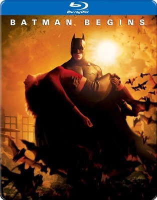 Batman Begins            Book Cover