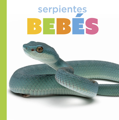 Serpientes Bebés B0GHMN5SSB Book Cover