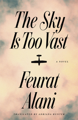 The Sky Is Too Vast 163542609X Book Cover