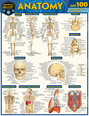 Anatomy Quizzer: A Quickstudy Laminated Referen... 1423244125 Book Cover