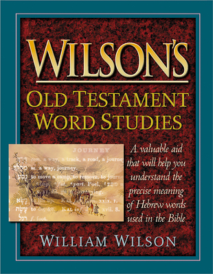 Wilson's Old Testament Word Studies 156563859X Book Cover