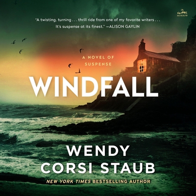 Windfall: A Novel of Suspense B0C5H6GMTF Book Cover