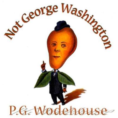 Not George Washington: An Autobiographical Novel 1441713689 Book Cover