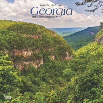 Georgia Wild & Scenic 2025 12 X 24 Inch Monthly... 197547483X Book Cover