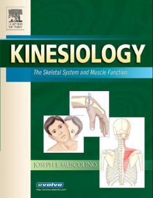 Kinesiology: The Skeletal System and Muscle Fun... 0323025242 Book Cover