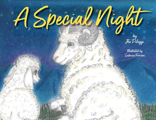 A Special Night 0989611973 Book Cover