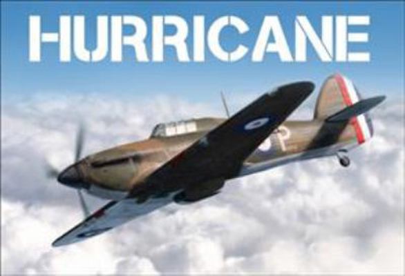 Hurricane 1472831535 Book Cover