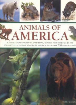 Animals of America: A Visual Encyclopedia of Am... 1844761274 Book Cover