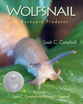 Wolfsnail: A Backyard Predator 1635928362 Book Cover