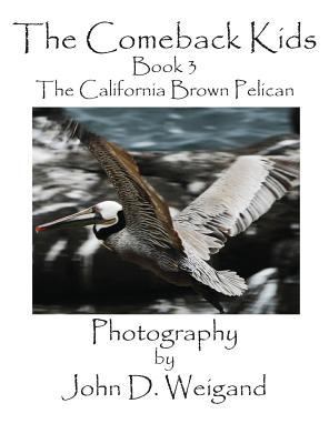 The Comeback Kids, Book 3, the California Brown... 1614772142 Book Cover