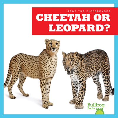 Cheetah or Leopard? 1636903444 Book Cover
