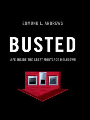 Busted: Life Inside the Great Mortgage Meltdown B00BQAKYP4 Book Cover