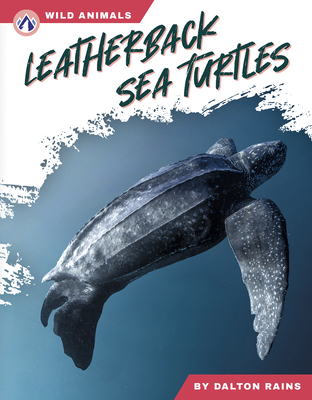 Leatherback Sea Turtles B0DVJ8C3SG Book Cover