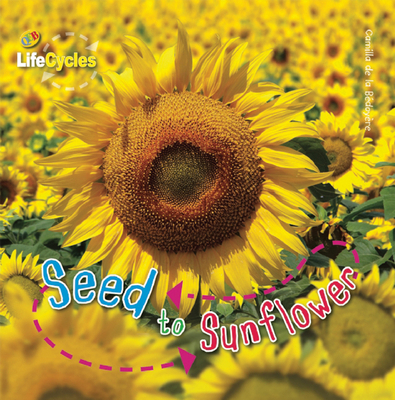 Seed to Sunflower 1595667377 Book Cover