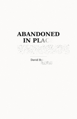 Abandoned in Place B0GRN5HV5Y Book Cover