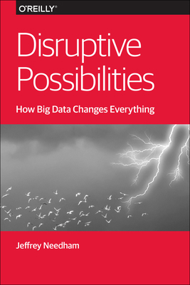 Disruptive Possibilities: How Big Data Changes ... 1449369677 Book Cover