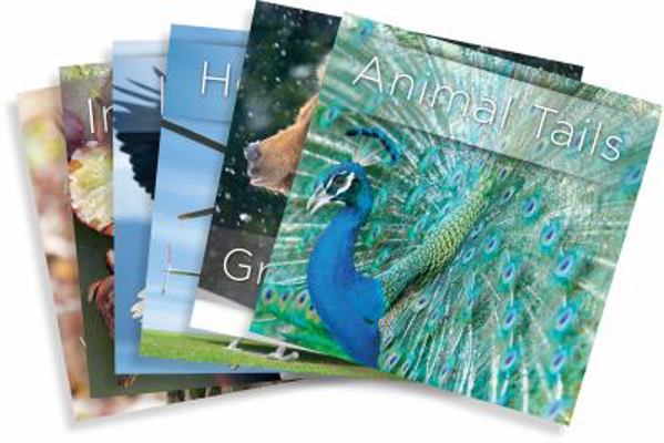 Paperback Early Nonfiction Set 1 Book