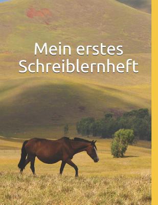 Mein erstes Schreiblernheft: Schreiblernheft fü... [German] 1799287971 Book Cover