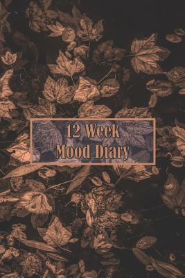 12 Week Mood Diary: One Page Per Day 1092427236 Book Cover