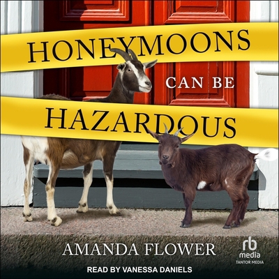 Honeymoons Can Be Hazardous B0C9NTCM5R Book Cover