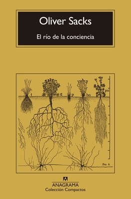 Río de la Conciencia, El [Spanish] 8433946862 Book Cover