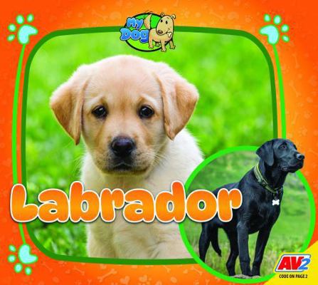 Labrador B0DGMCGFLC Book Cover