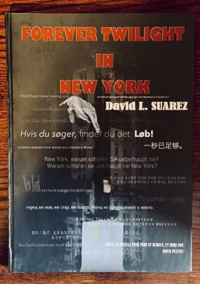 Hardcover Forever Twilight in New York Book