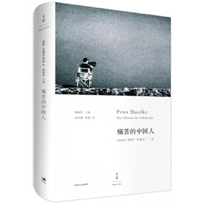 The Painful Chinese [Chinese] 7208140820 Book Cover
