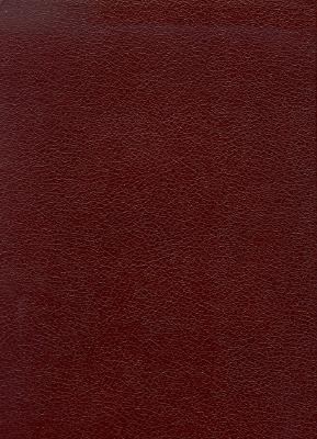 The Tyndale Bible - 1536 New Testament 1583290036 Book Cover