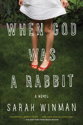 When God Was a Rabbit : A Novel 1608195376 Book Cover