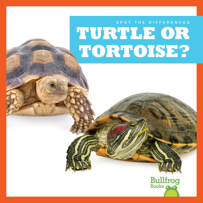 Turtle or Tortoise? 1636903525 Book Cover