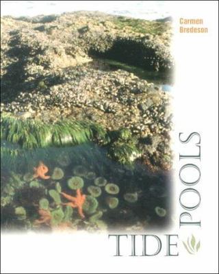 Tide Pools (First Books Series) 0531159582 Book Cover