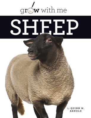 Sheep 1640262342 Book Cover